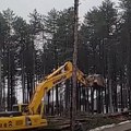 Otkriveno ko i zašto seče drva na Zlatiboru (video)