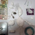 "Pao" diler u Staroj Pazovi! Policija u stanu pronašla skoro kilogram amfetamina, marihuanu i tablete (foto)