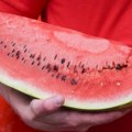 Više vas niko neće prevariti na pijaci: 3 zlatna trika da prepoznate najslađu lubenicu: Evo šta znači žuta mrlja, a zbog ovog…