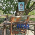 U srpskim selima i dalje postoji "drvo zapis": Kultno mesto koje štiti od nevremena i nesreće, a sveti krst urezuje se jednom…