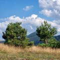 Danas sa kratkotrajnim pljuskovima,u nedelju sunčano i veoma toplo