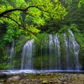 Zbog neobičnog vodopada ljudi krše zakon i rizikuju život Turisti masovno hrle na ovo mesto iako je poseta zabranjena