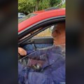 Ovako su roditelji đaka škole u Mirijevu najurili SNS direktora: Lupali mu po automobilu VIDEO