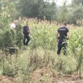 „Ubio sam Jovana jer mi je krao kukuruz i opet bih to uradio“: Ljubisav iz Pirkovca upucao komšiju, pa priznao zločin i rekao…