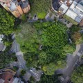 Ovaj grad je imao isti problem kao Beograd - zasadili su 880.000 stabala i evo za koliko su uspeli da spuste temperaturu