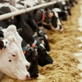 Farma nije postojala, ali subvencije jesu: Uzeli 263.000 evra, a onda je otkrivena velika prevara