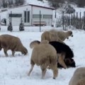 Uskoro dva naleta snežnih padavina Evo gde će da veje, stiže još jedna pojava zbog koje će biti ledeno