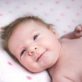 U Novom Sadu za jedan dan rođeno 30 beba