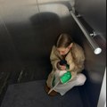 Bela Hadid iskreno progovorila o borbi s depresijom i anksioznošću: "Godinama nosim taj teret"