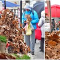(Foto) čuvena novosadska pijaca vrvi od kupaca! Ovde se pazare žito i badnjak, tezge su prepune prazničnih proivoda