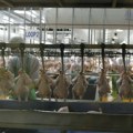 Izvoz pilećeg mesa iz Republike Srpske u EU biće nastavljen