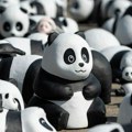 Nekoliko hiljada skulptura džinovskih pandi izloženo u Hong Kongu