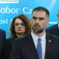 SSP: Gradonačelnik Novog Sada kao saučesnik u zločinu sada predlaže podizanje spomenika
