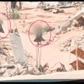 Zašto palestinski borci nose ogrtače na bojnom polju