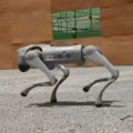 Internet gori zbog snimka sa Dorćola: Robot-pas u Beogradu!