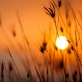 Avgust najtopliji mesec na svetu u istoriji merenja: Rekordne temperature zabeležene i u Srbiji