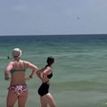 Dramatičan susret s ajkulom u plićaku: Ljudi su vrištali i bežali ka plaži