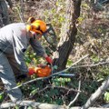 Vojska Srbije u Bujanovcu čisti reku od smeća, u Ivanjici uklanja stabla s trase dalekovoda