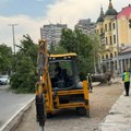 Stari jasen kod LKC uništili izvođači radova na trotoaru