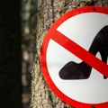 10 Najčudnijih lokalnih zakona na svetu Ako kradete kamenčiće sa plaže, hranite golubove ili se žalite konobaru - platićete…