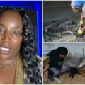 (Video) Posle života u Los Anđelesu i Denveru, Amerikanka Iris se skrasila u sremu Brine o životinjama i pravi sir, a evo koje…
