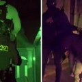 Policija sa dugim cevima kao na filmu: Hitar upad u stan i mladić (19) u lisicama, zapalio je lokal mužu poznate voditeljke…