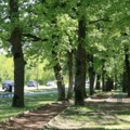 Upozorenja iz Šumarica: Građani navode da muškarac uznemirava žene