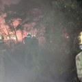 Čaušić: U Deliblatskoj peščari večeras mirnije, Dačić osudio političke zloupotrebe požara