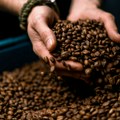 Kilogram kafe im košta kao nov automobil: Ovo su zemlje u kojima raste najbolja kafa na svetu
