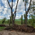 Vojvodina pomaže Novom Sadu da ukloni polomljena stabla i granje