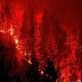 Požar kod Ploča u Hrvatskoj, gori gusta borova šuma