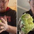 Jednostavan trik za čišćenje zelene salate oduševio ljude: Samo udarite šakom, provereno radi!