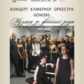 Koncert kamernog orkestra „Sonore“ u Muzeju „Srema“ – Veče klasične muzike