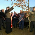 Održana tradicionalna seča badnjaka na Makovoj sedmici