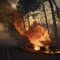 Grčka mobilisala rekordni broj vatrogasaca i dronova za sezonu požara