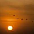 Šta će se dogoditi sa Zemljom kada Sunce postane crveni džin, ali za oko pet milijardi godina?