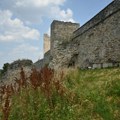Telo pronađeno u otvoru zidina: Misterija užasa na Kalemegdanu sve veća: Bilo je u podmukloj fazi raspadanja, ne zna se pol