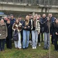 Ponovo kanadski crveni javor u velikom parku: Profesorka i đaci Užičke gimnazija zajedno zasadili drvo (foto)