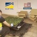 Крили марихуану у врећама сточне хране: У акцији шпанске и италијанске полиције заплењени наркотици, оружје, 40.000 евра
