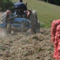 Subvencije za 100 gazdinstava: Kraljevčani sprovode program razvoja poljoprovrede u svom kraju