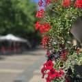 „Miholjsko leto“: Danas sunčano uz temperature iznad proseka, lepo vreme i narednih dana