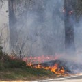 (VIDEO) Požar u Sutomoru: Vatra zahvatila veliku površinu, kulja gust dim