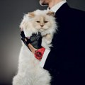Mačka koja vlada internetom: Choupette je novo lice hublota
