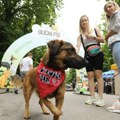 Festival pasa svih rasa :“Ulični psi” na Kalemegdanu od 20. do 22. juna