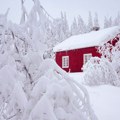 U Norveškoj kuće ne izoluju stiroporom, već materijalom koji zadržava toplotu čak i na -30 stepeni: uz to, i posle 20 godina…