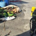 Gradski zavod za javno zdravlje: Nema povećanih koncentracija zagađujućih materija nakon požara u Barajevu