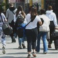 Hiperprodukcija „ara papagaja“