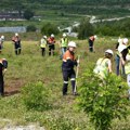 [VIDEO] Studenti Rudarsko-geološkog fakulteta posadili u Boru 300 mladica crnog bora