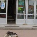 Kome Vlasotinčani plaćaju da ih informiše u javnom interesu