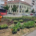 Redovno košenje parkovskih i gradskih lokacija